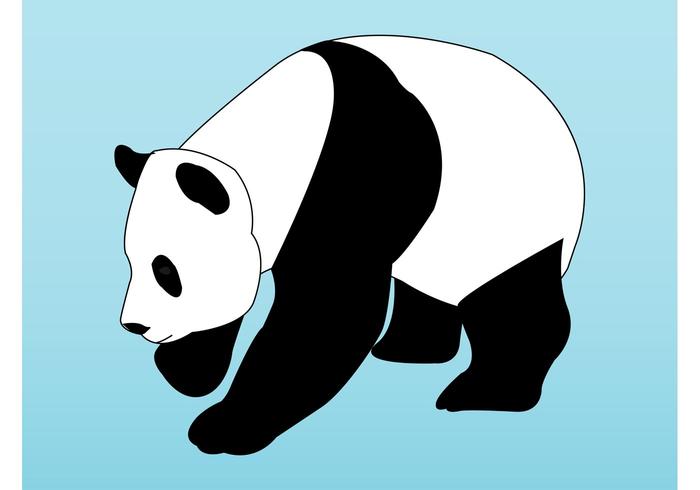 Panda - Download Free Vector Art, Stock Graphics & Images