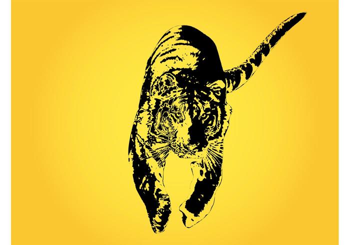 Running Tiger Running Tiger