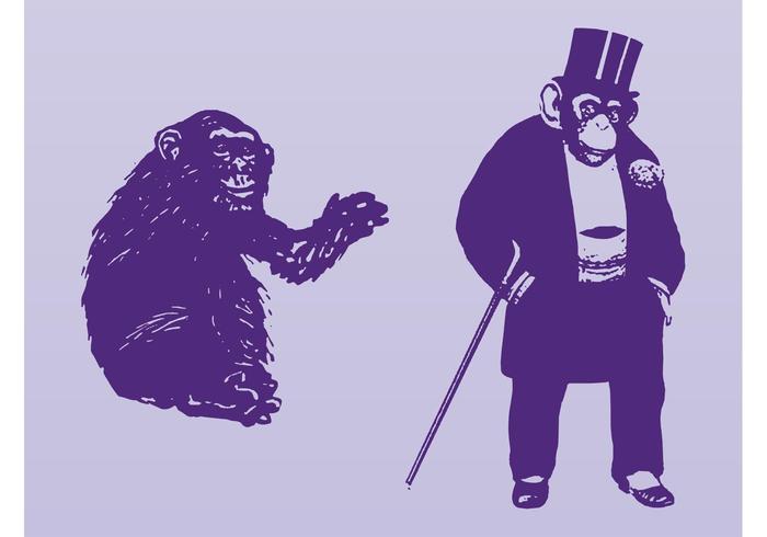 Monkeys Vector Monkeys Vector