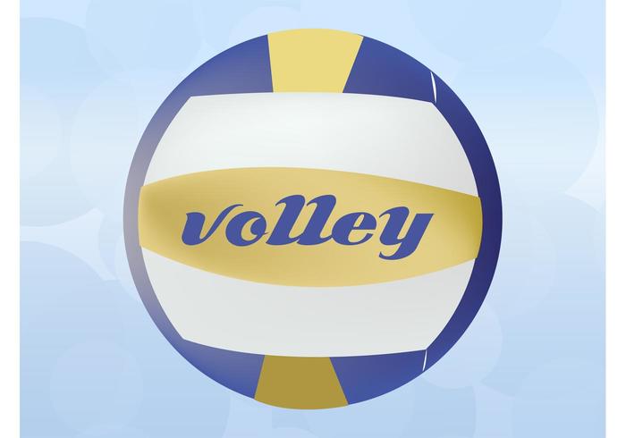 Volleyball Vector