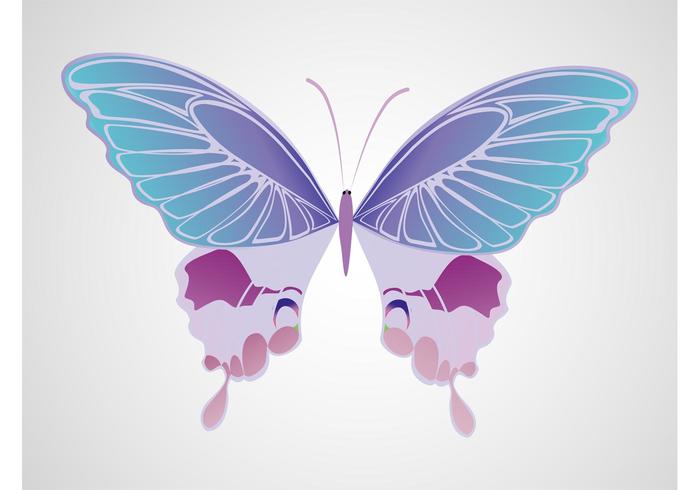 Violet Butterfly Violet Butterfly