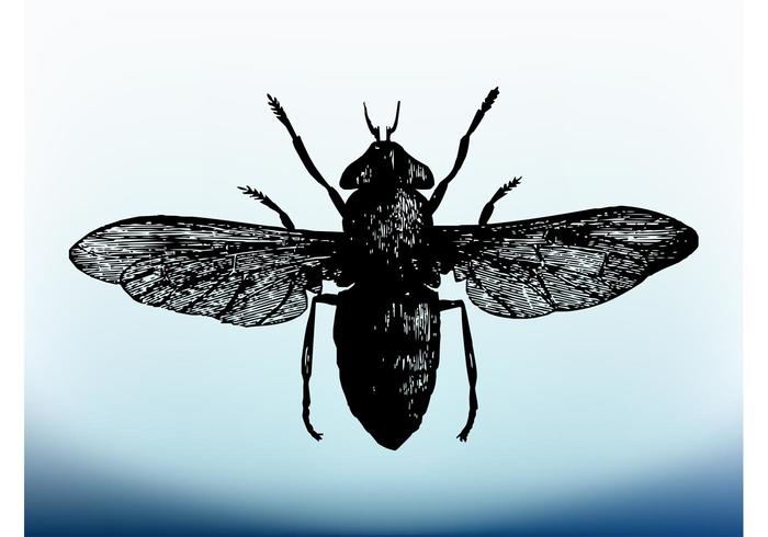 Fly Vector Fly Vector
