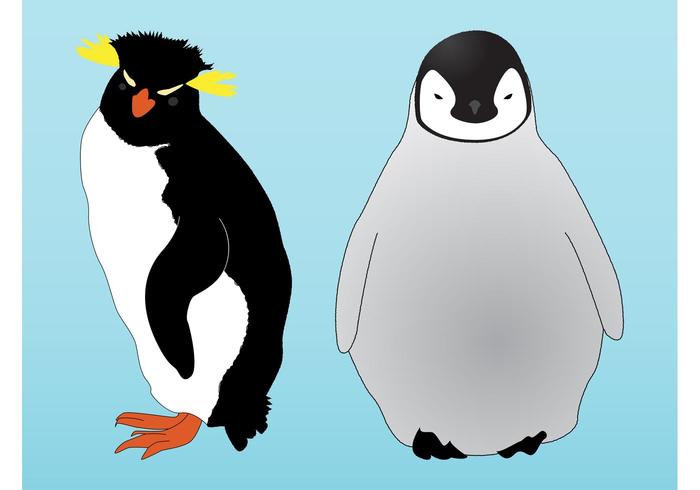 Penguins Graphics Penguins Graphics