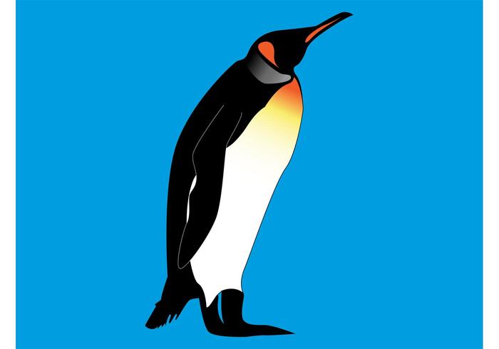 Emperor Penguin Emperor Penguin