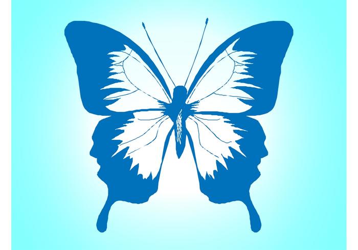 Butterfly Vector