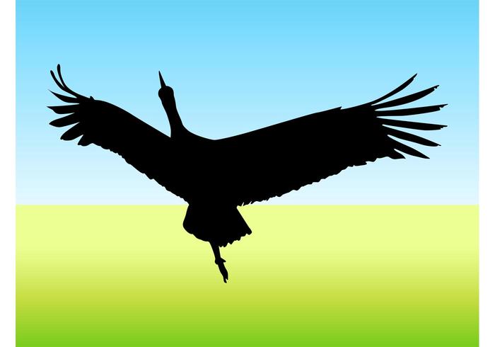 Flying Bird Vector Flying Bird Vector