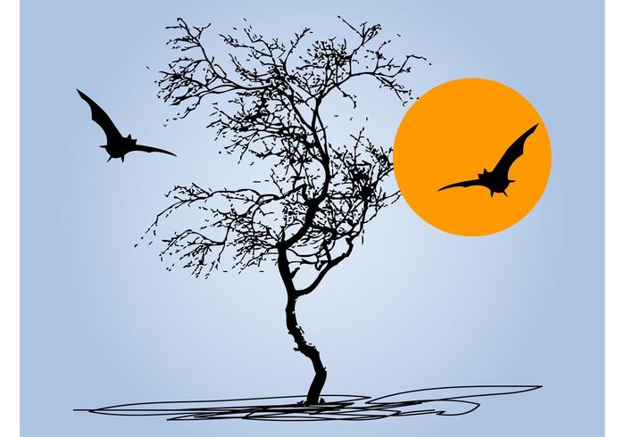 Tree And Bats Tree And Bats