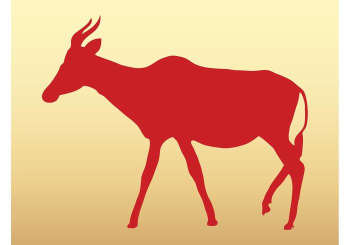 Antelope Antelope