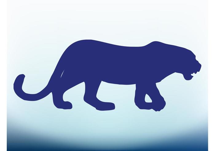 Leopard Vector Leopard Vector