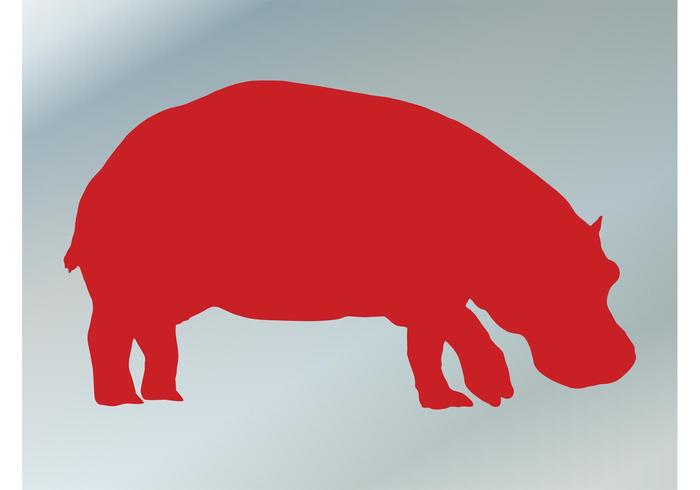 Hippo Hippo