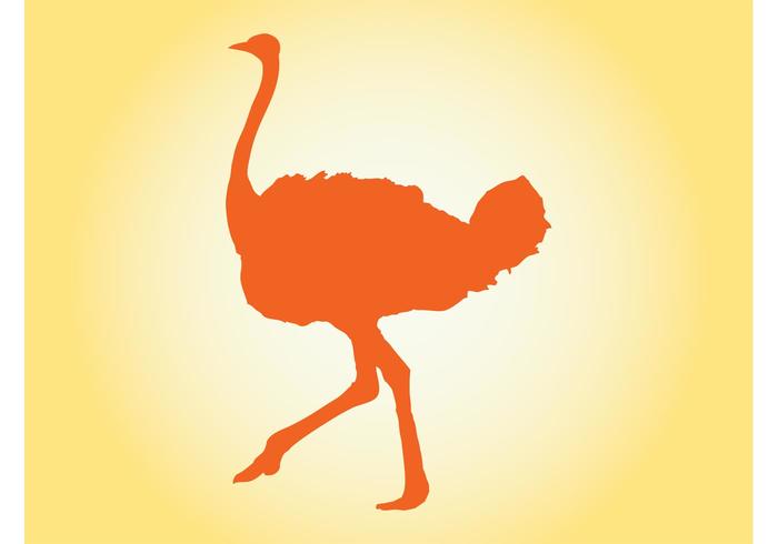 Ostrich Silhouette Ostrich Silhouette