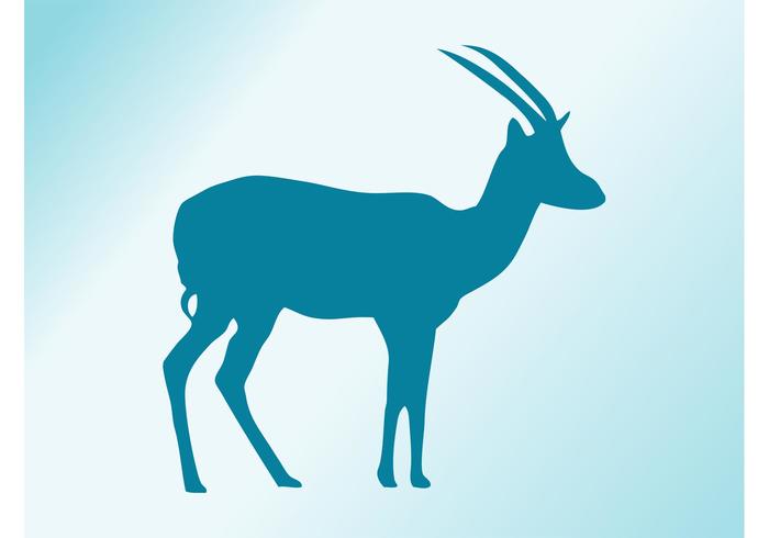 Gazelle Gazelle