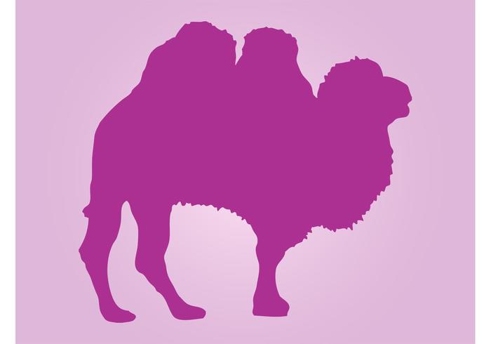 Camel Silhouette Camel Silhouette