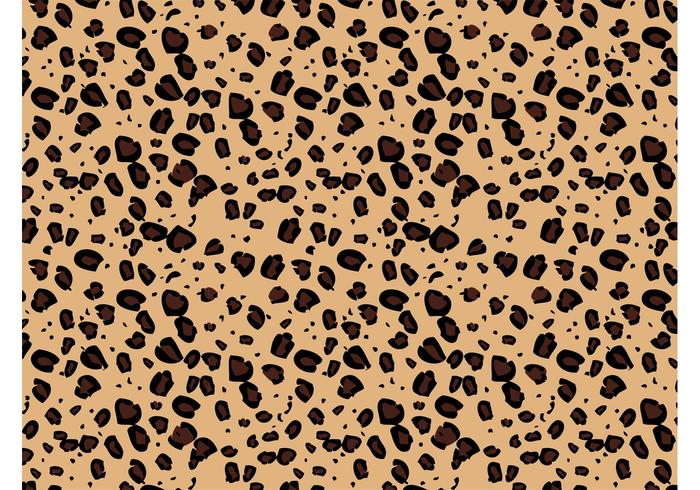 Leopard Pattern Leopard Pattern