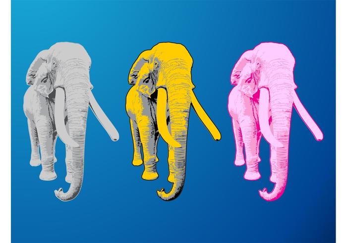 Colorful Elephants Colorful Elephants