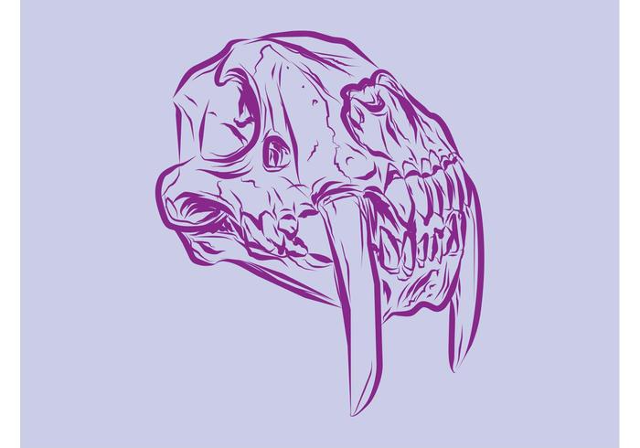 Animal Skull Vector Animal Skull Vector