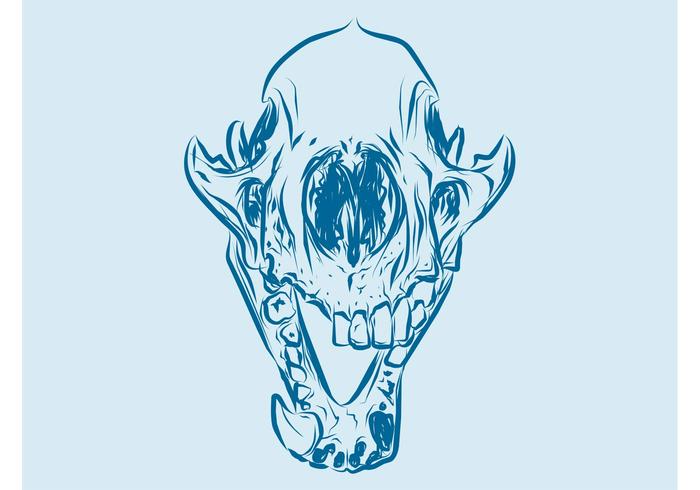 Animal Skull Graphics Animal Skull Graphics