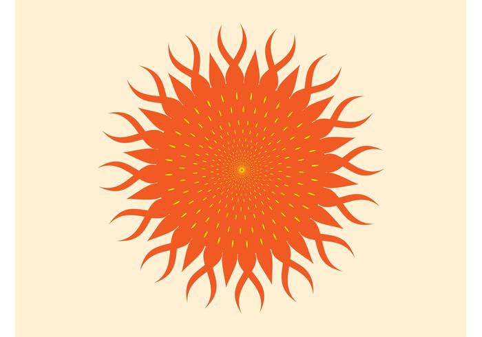 Sun Vector Sun Vector