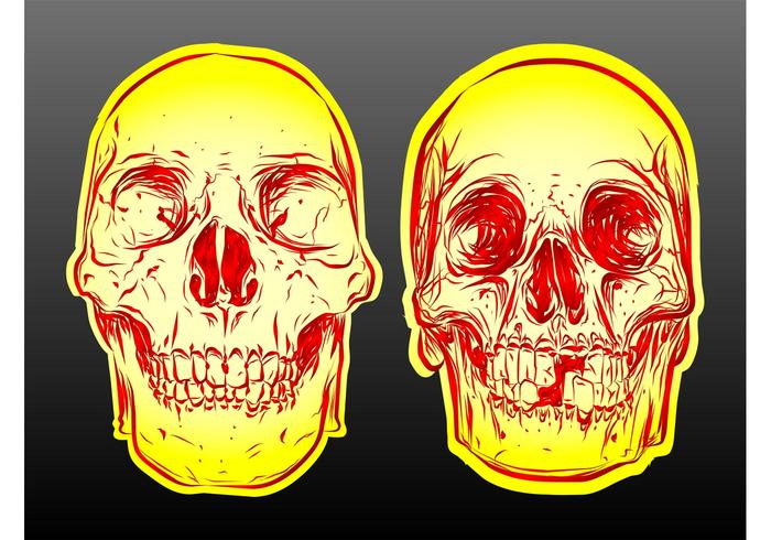 Skull Vectors Skull Vectors