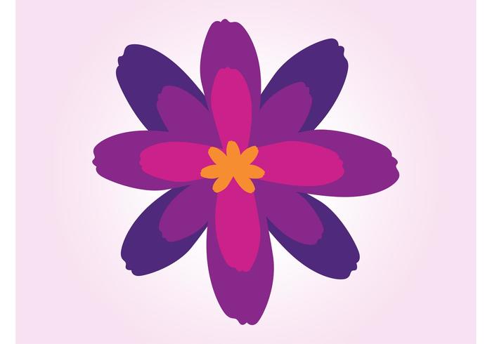 Flower Blossom Flower Blossom