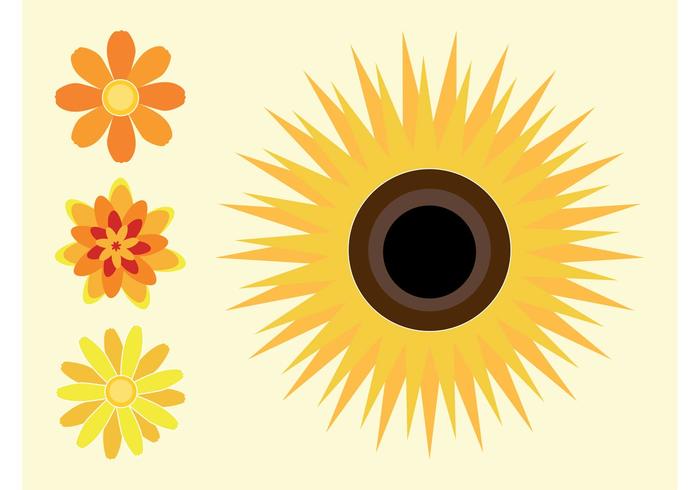 Sunflowers Sunflowers