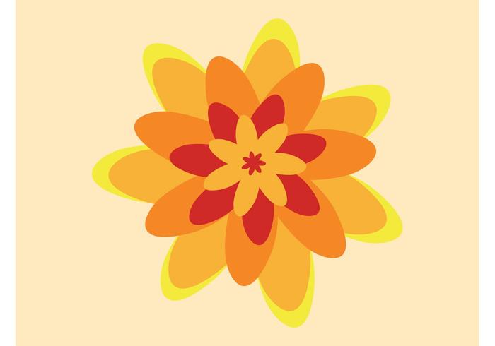 Blooming Flower Blooming Flower