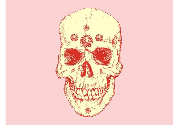 Vintage Skull Vector Vintage Skull Vector