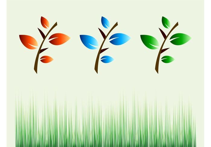 Plants Images Plants Images