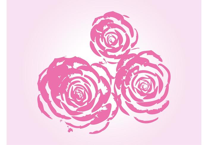 Pink Roses - Download Free Vector Art, Stock Graphics & Images