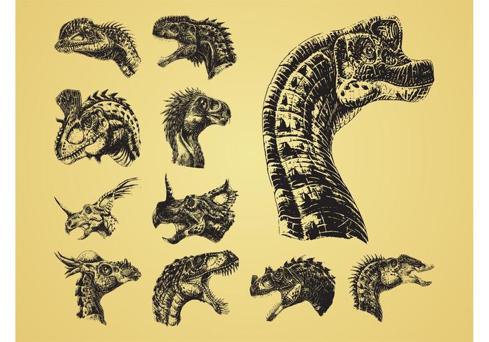 Jefes de dinosaurio Jefes de dinosaurio