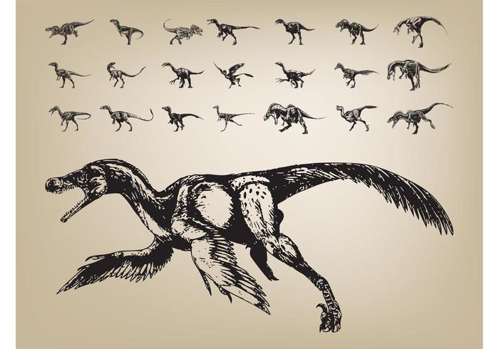 Dinosaurs Vector Dinosaurs Vector
