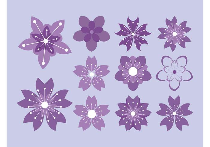 Flower Blossoms Vector Flower Blossoms Vector