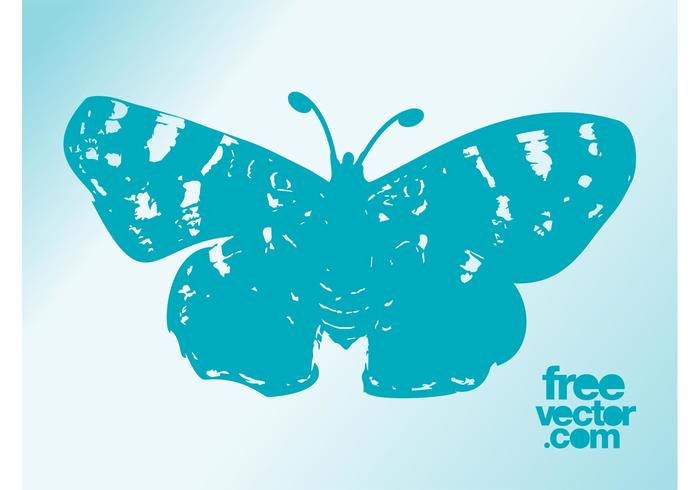 Butterfly Trace Butterfly Trace