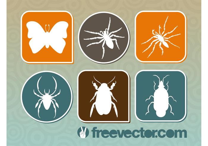 Bugs Graphics Bugs Graphics