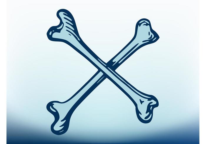Crossbones Vector Crossbones Vector