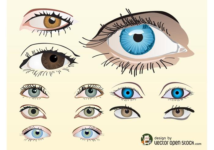 Vector Eyes Vector Eyes