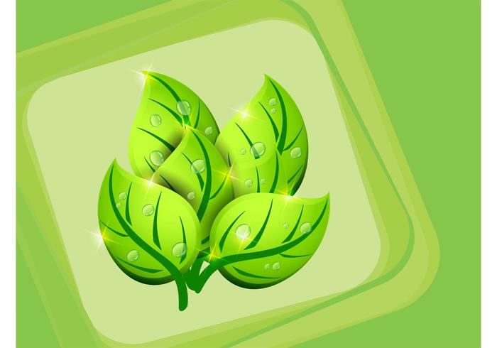 Vector Leaves Vector Leaves