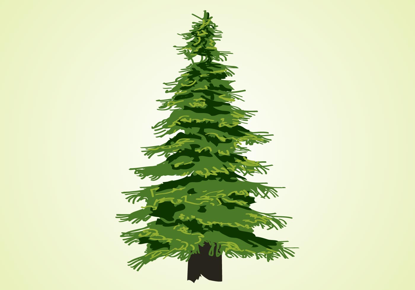 Evergreen Tree Vector Download Free Vector Art, Stock Graphics & Images