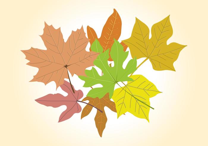 Autumn Vector Graphics Autumn Vector Graphics