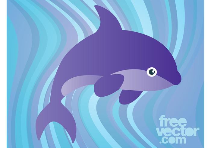 Dolphin Cartoon Dolphin Cartoon