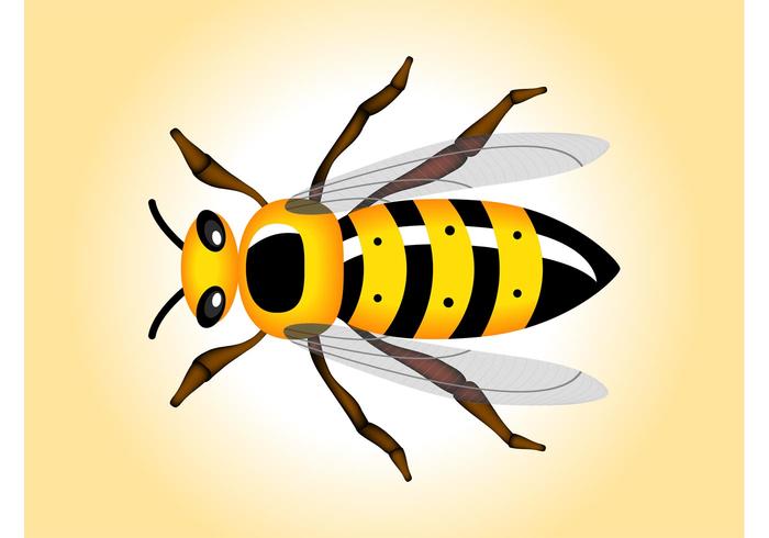 Wasp Vector Wasp Vector