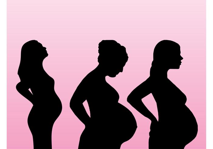 Pregnancy Vectors Pregnancy Vectors