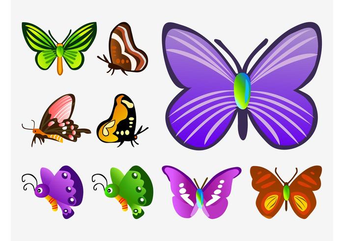 Butterfly Vector Cartoons Butterfly Vector Cartoons