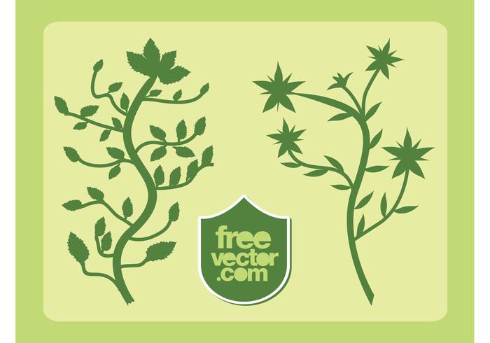 Free Free 73 Que Son Imagenes Svg SVG PNG EPS DXF File
