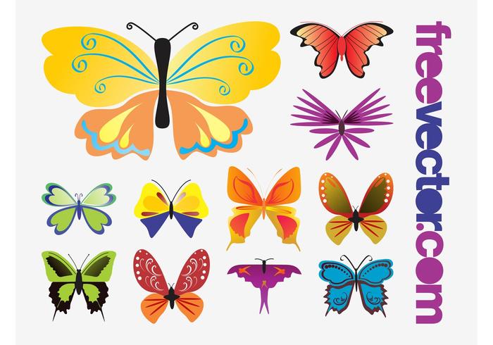 Butterflies Vectors Butterflies Vectors