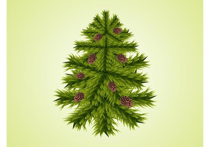 Fir Tree Vector Fir Tree Vector
