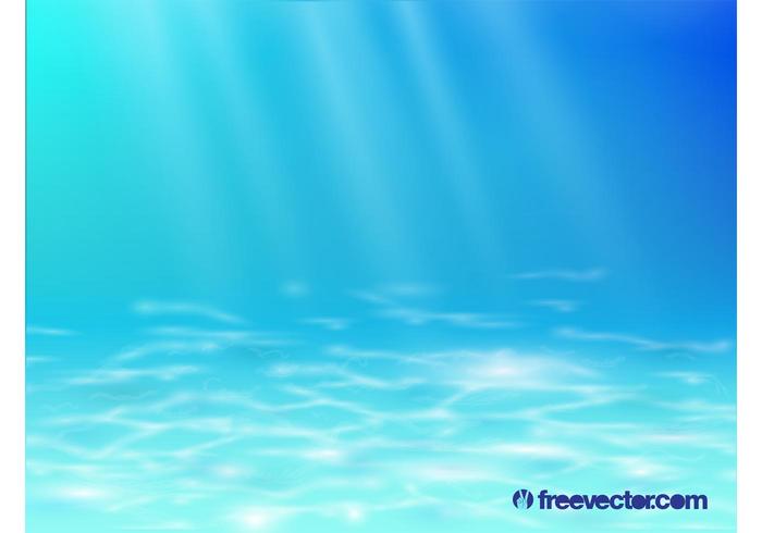 Realistic Underwater Illustration Realistic Underwater Illustration