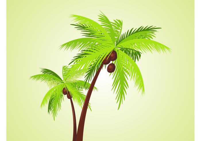 Vector Palms