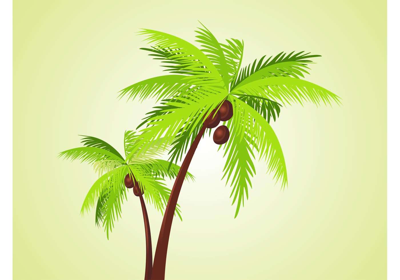 Download Vector Palms - Download Free Vector Art, Stock Graphics ...