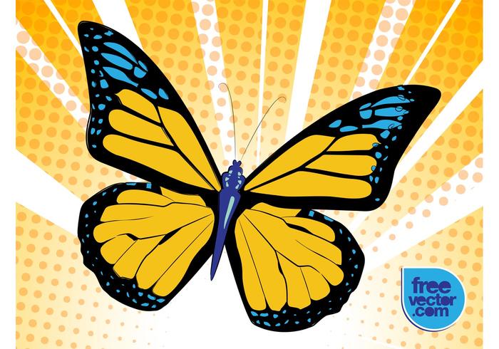 Free Butterfly Vector Free Butterfly Vector